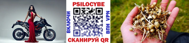 Галлюциногенные грибы мицелий  где купить   Дигора 
